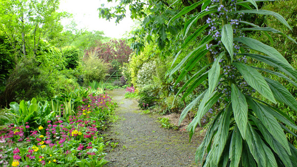 Beautiful avenue of flowers Knockpatrick Gardens